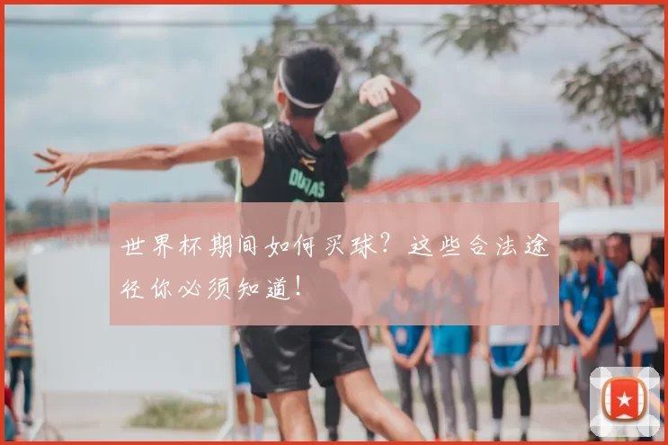 世界杯期间如何买球?这些合法途径你必须知道!