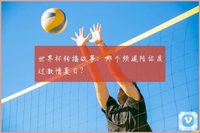 世界杯转播故事:哪个频道陪你度过激情夏日?