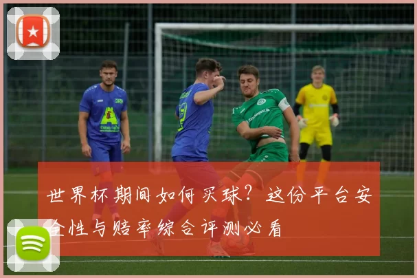 世界杯期间如何买球?这份平台安全性与赔率综合评测必看