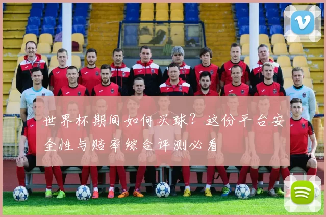 世界杯期间如何买球?这份平台安全性与赔率综合评测必看