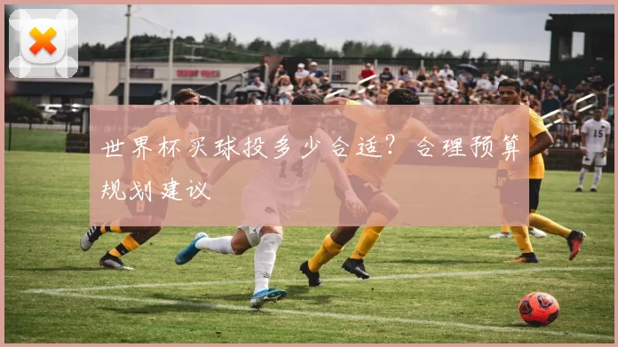 世界杯买球投多少合适?合理预算规划建议