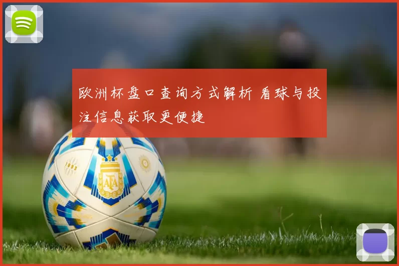 欧洲杯盘口查询方式解析 看球与投注信息获取更便捷