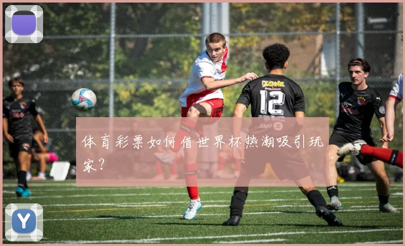 体育彩票如何借世界杯热潮吸引玩家？