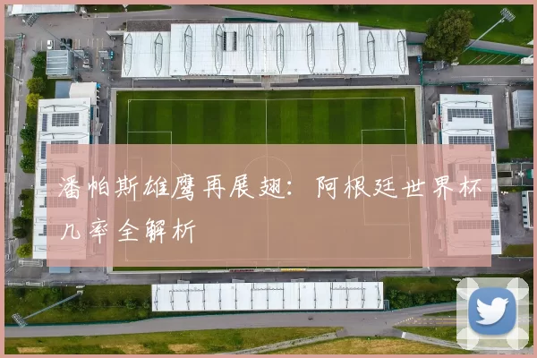 潘帕斯雄鹰再展翅：阿根廷世界杯几率全解析