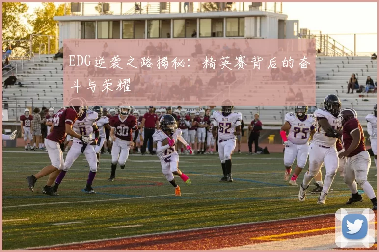 EDG逆袭之路揭秘：精英赛背后的奋斗与荣耀