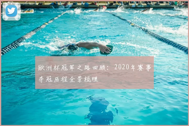 欧洲杯冠军之路回顾：2020年赛事夺冠历程全景梳理
