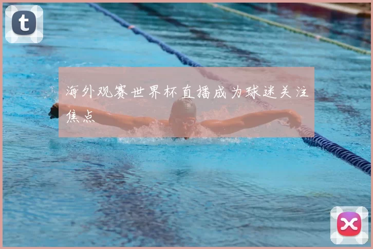 海外观赛世界杯直播成为球迷关注焦点